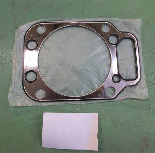 Cylinder Head Gasket | 13059912 Head Gasket